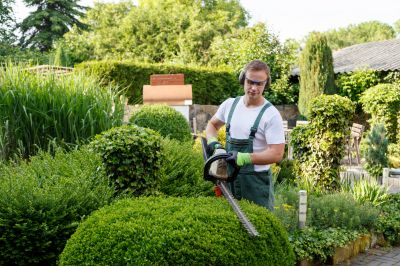Landscape Maintenance Experts